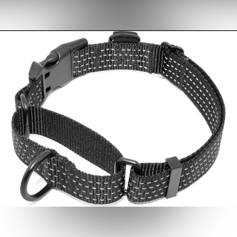 Dog Martingale Collar